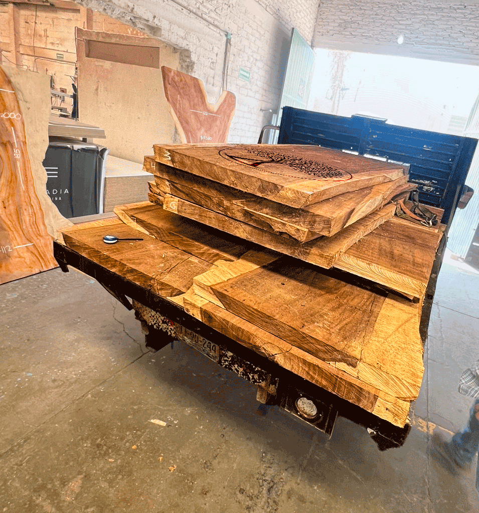 Planchones de Parota