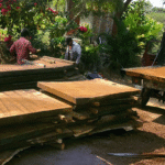 Planchon de Parota en Occidente