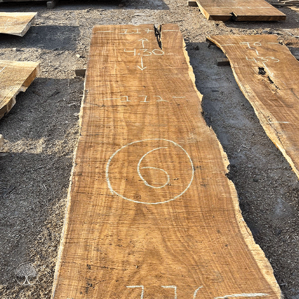 Planchones de parota, Veta natural que define cada espacio